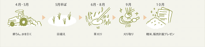 4～5月 耕うん、水を引く。5月半ば 田植え。6～8月 草刈り。9月 刈り取り。10月 精米、販売計画プレゼン。