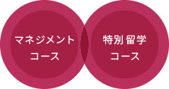マネジメントコース特別留学コース