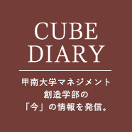 CUBE DIARY