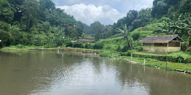 フィールドワークのご紹介 ～インドネシア編～