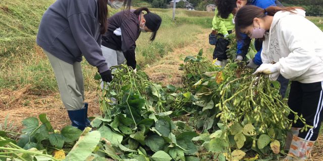 農業の現状を知り、未来へ「つなぐ」 －農業フィールドワークレポート－