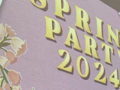 🌸Spring Party 2024🌸